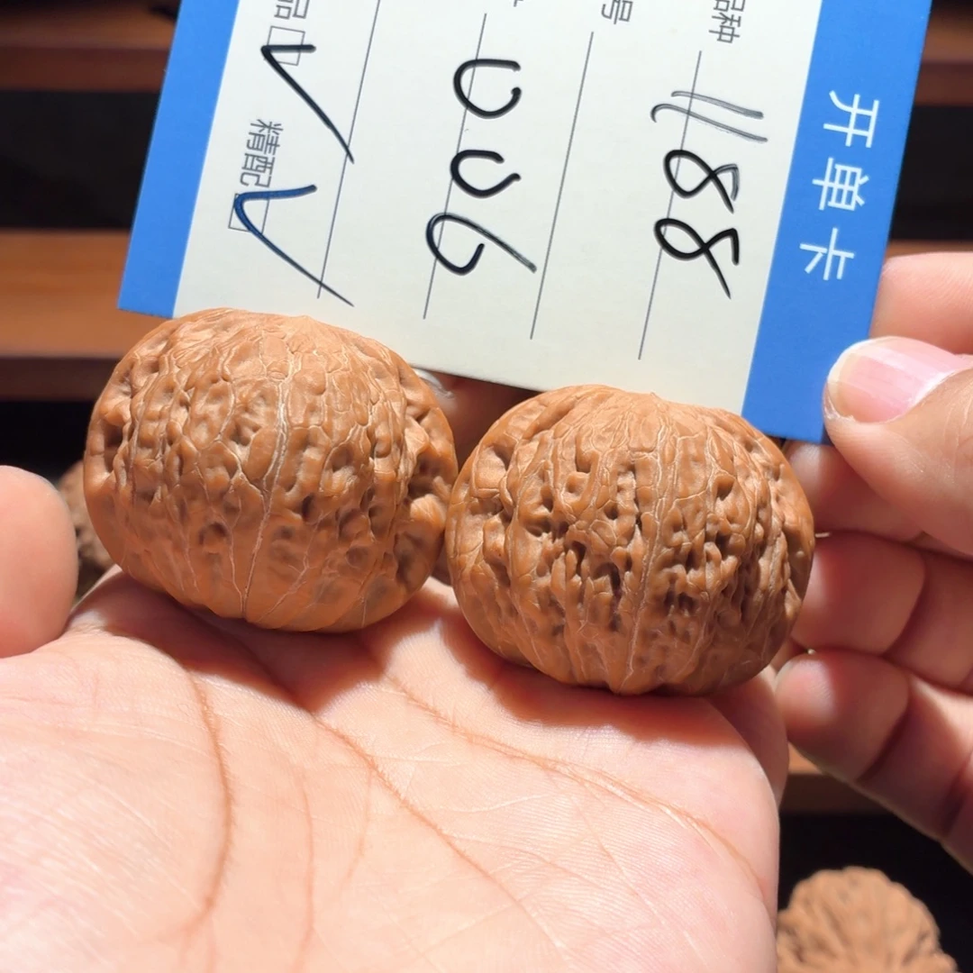 全品42铁锤毕业对