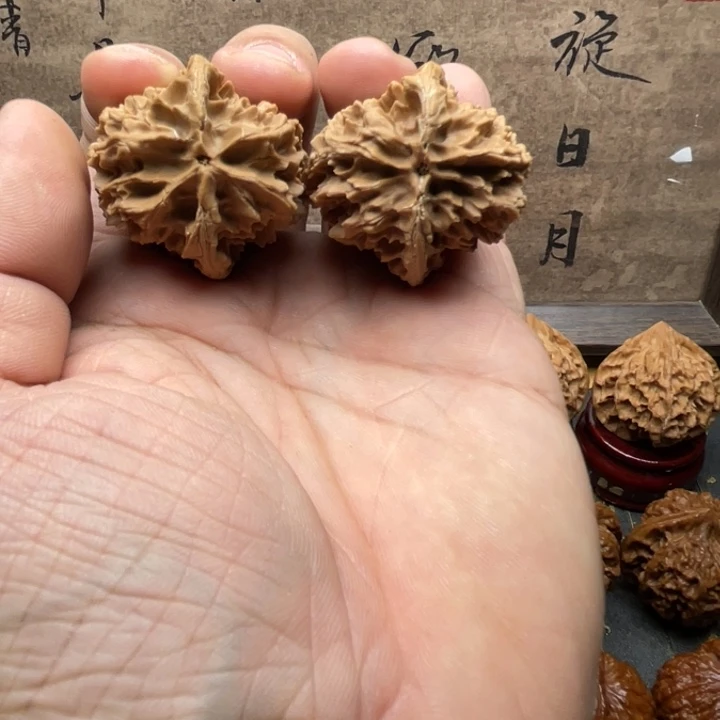 今日拍品推荐97号拍品