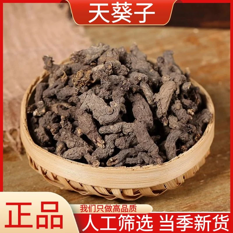 野生天葵子精选紫背天葵子正品千年老鼠屎新鲜干货散装包邮叶菜