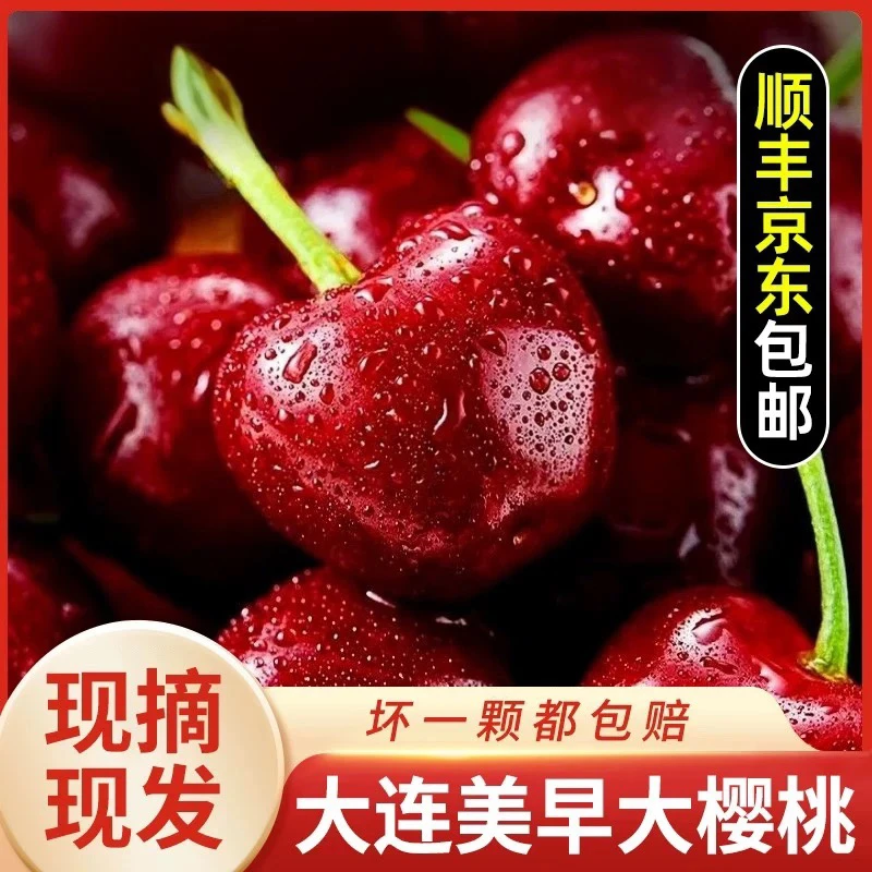 【北京新发地直发】大连美早樱桃新鲜采摘3J-8J皮薄多汁「顺丰包邮」1.7斤美早