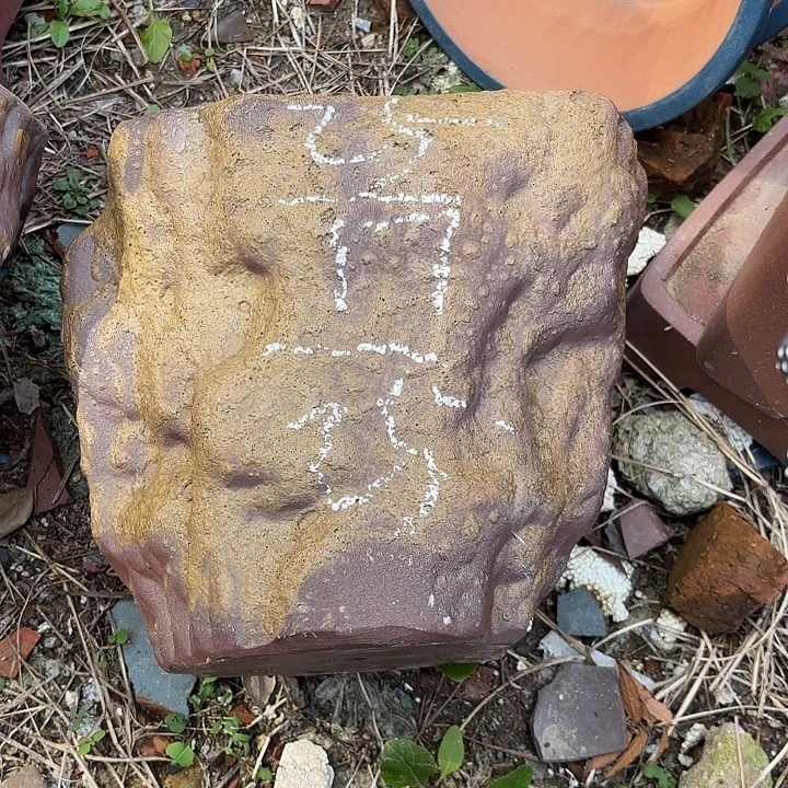 花盆紫砂紫砂的花