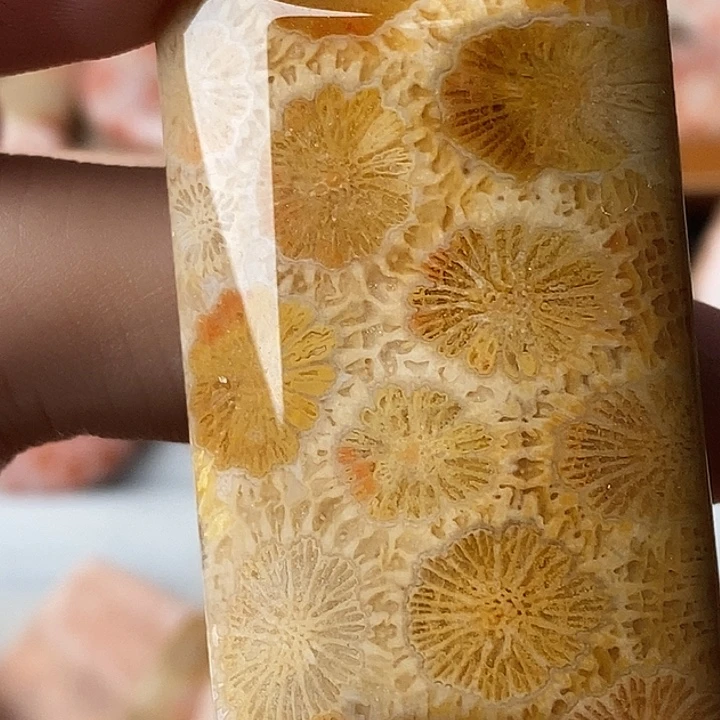 哎***错硅化玉未镶嵌颈饰