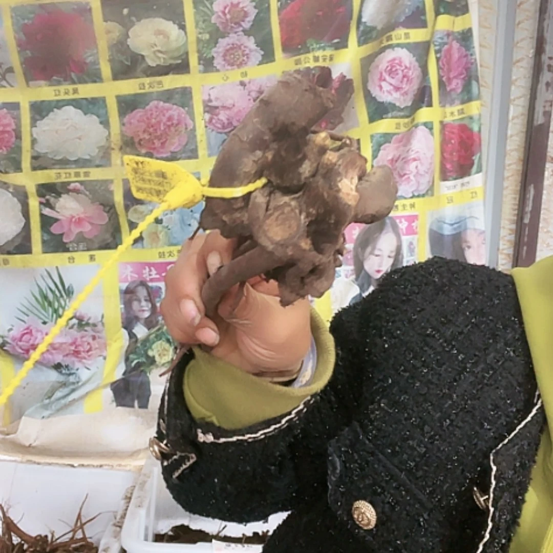 【闪购商品】完全开放枕边语