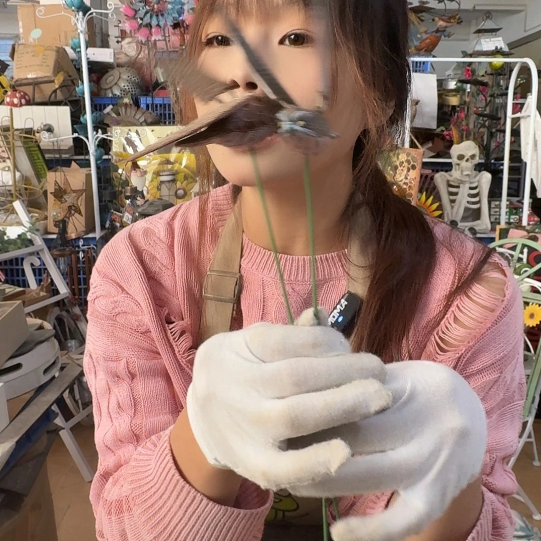 核桃木/黑胡桃（胡桃木）