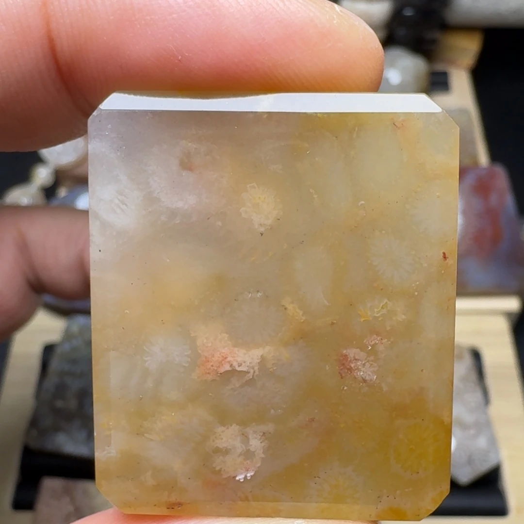 硅化玉未镶嵌纯天然色有机玉石保真色