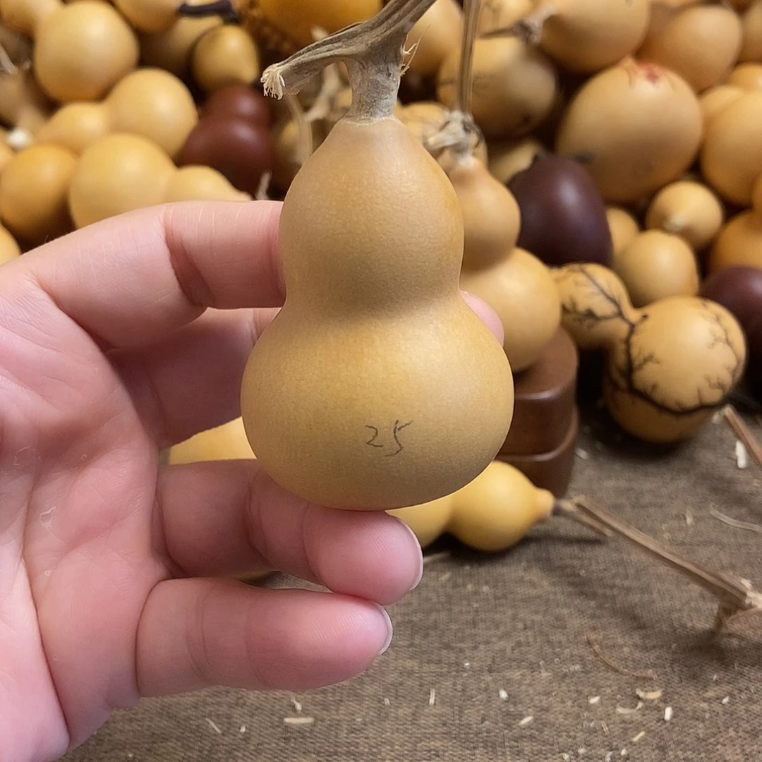 文玩葫芦 完美主义者 慎拍25
