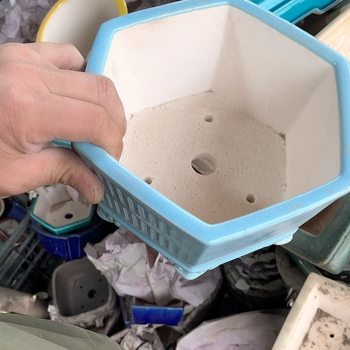 紫砂哈哈真的是太给力太