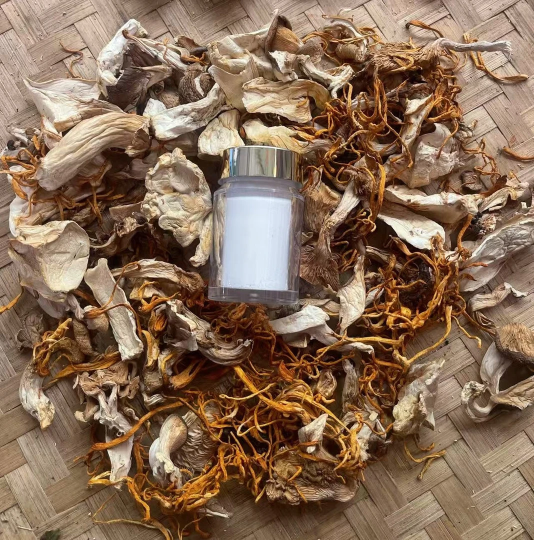 (土特产枫子专属YH670) 重量6g