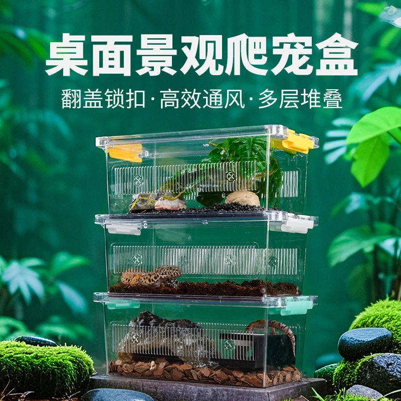 爬宠高透明亚克力饲养箱R属守宫蜥蜴角蛙乌龟甲虫桌面饲养