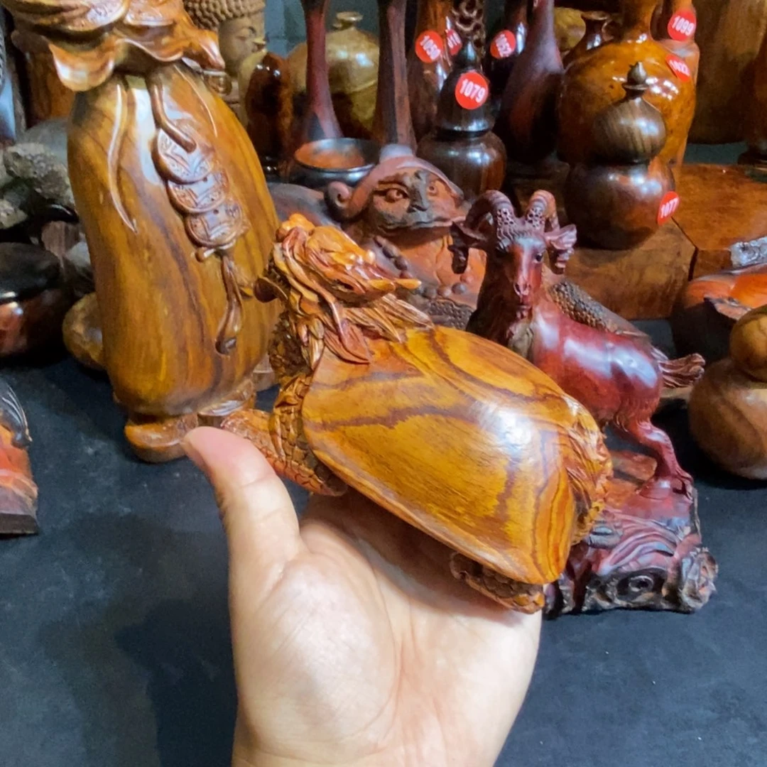 M***y龙龟一个特价包邮