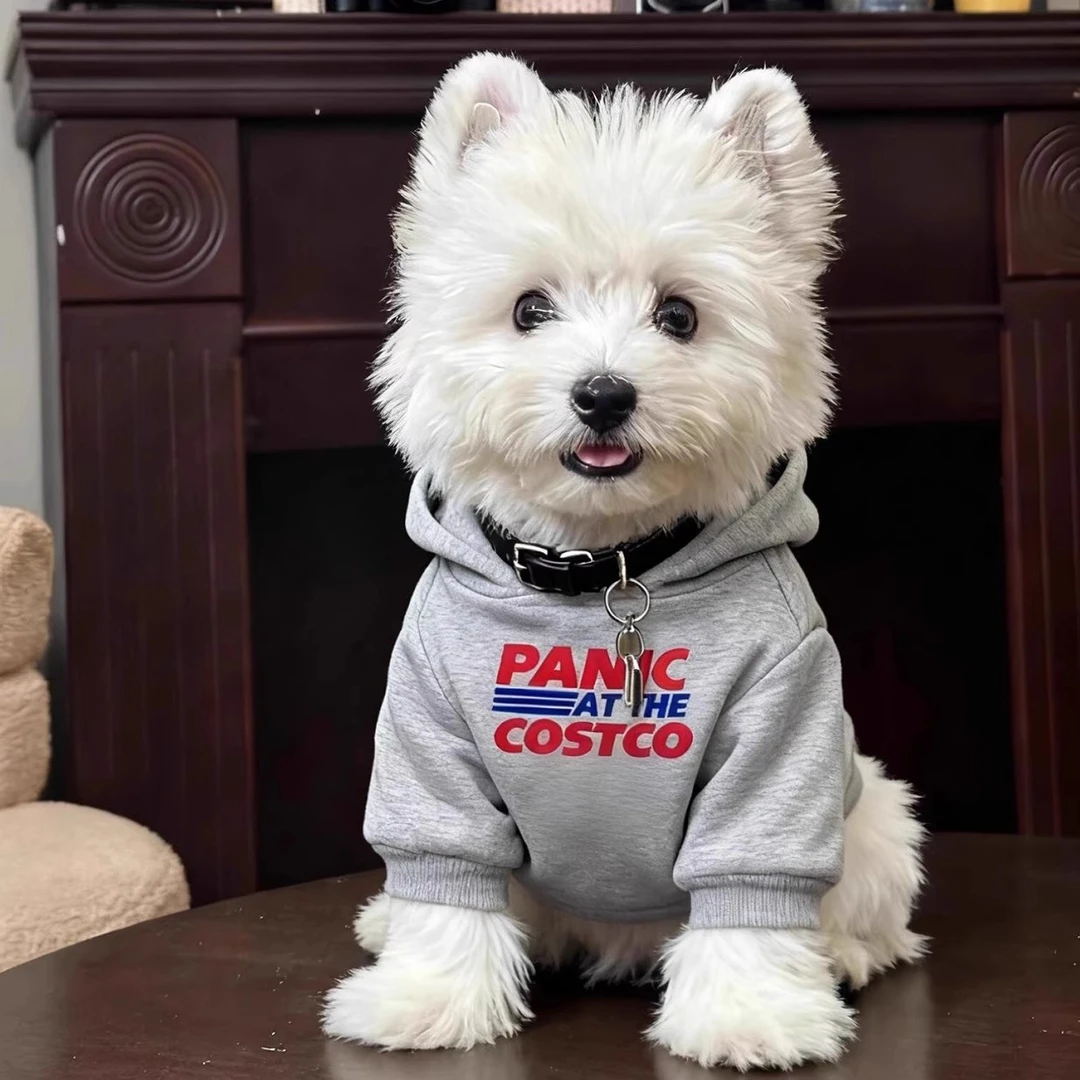狗狗衣服秋季新款字母连帽卫衣中小型犬西高地白梗雪纳瑞衣服秋冬