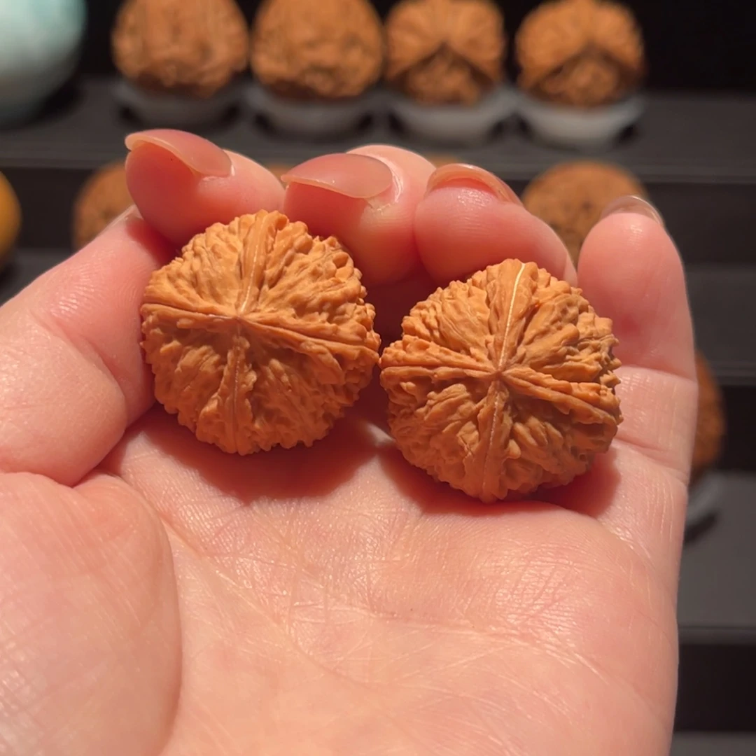 野生，灯笼四棱27精品，全品