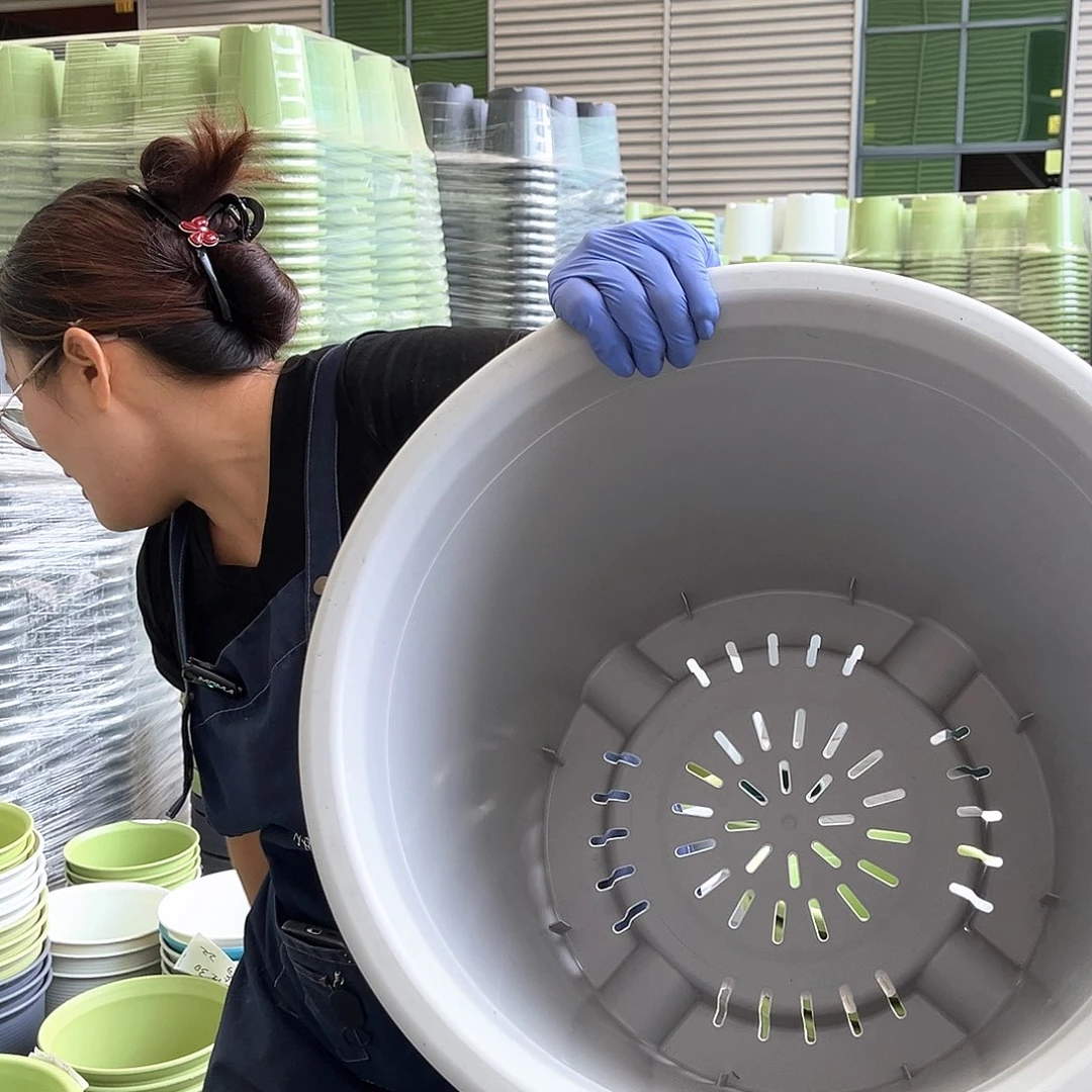 四季盆9#灰白色4个无托