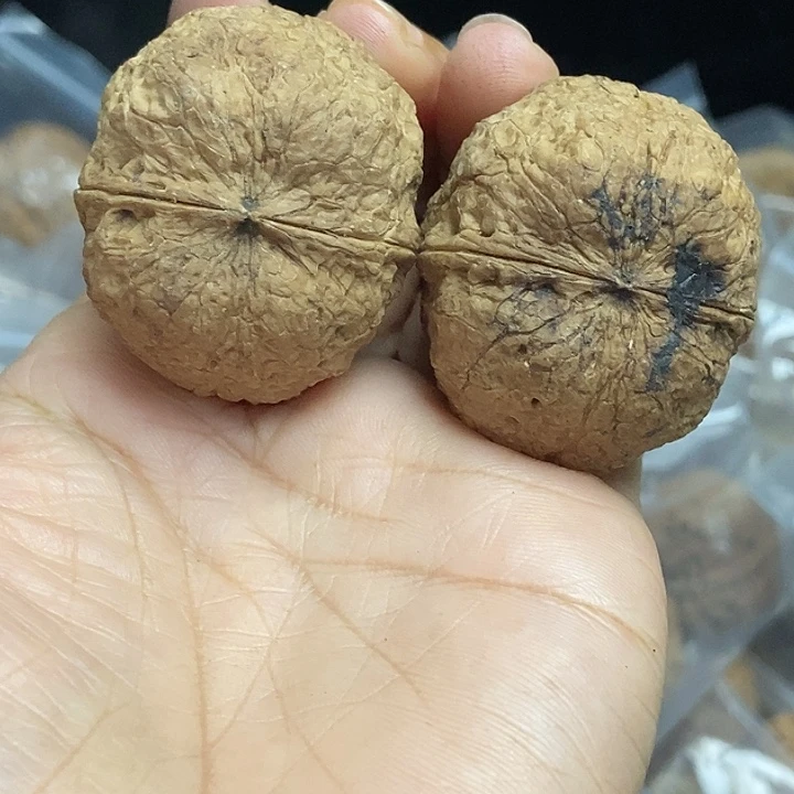 木质类云南铁核桃基地78