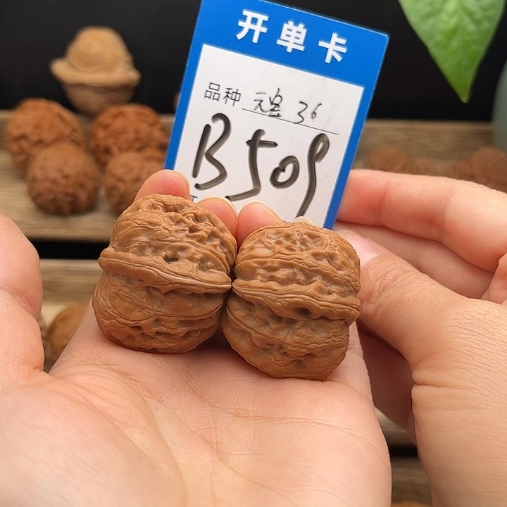 核桃掌中宝元宝36