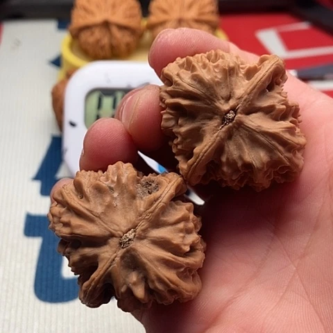 晟***文玩核桃把件秦皇岛元宝