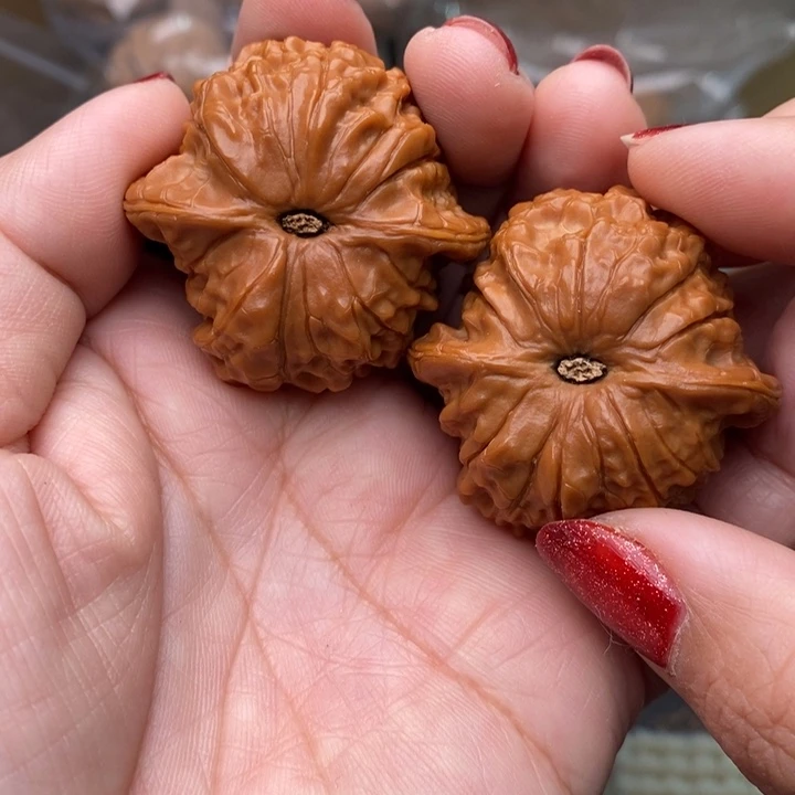 拳***头核桃血麒麟40尺核桃