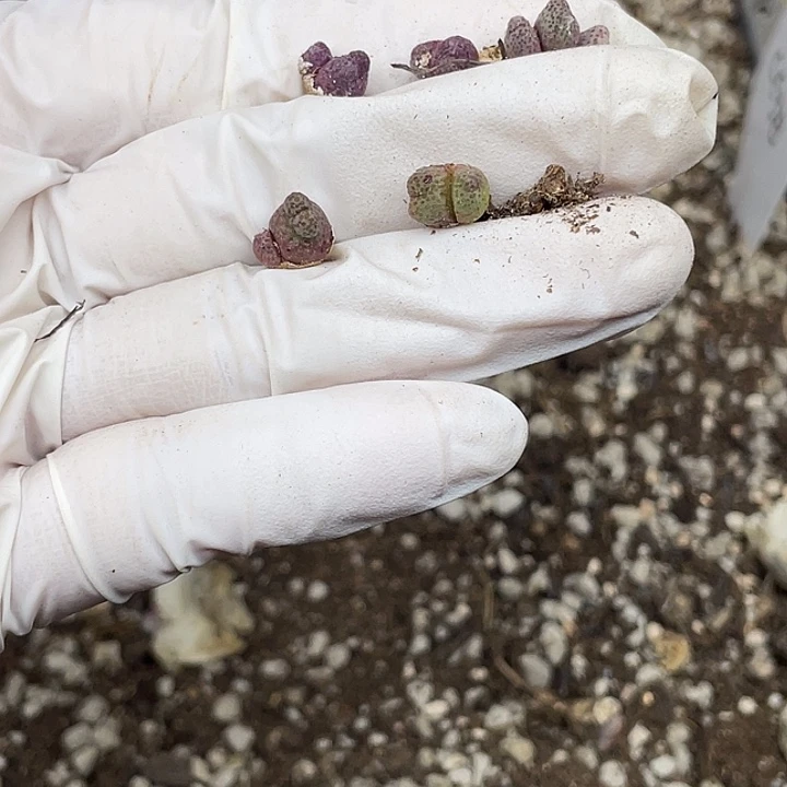 一***美709看监控摸摸鱼太累了