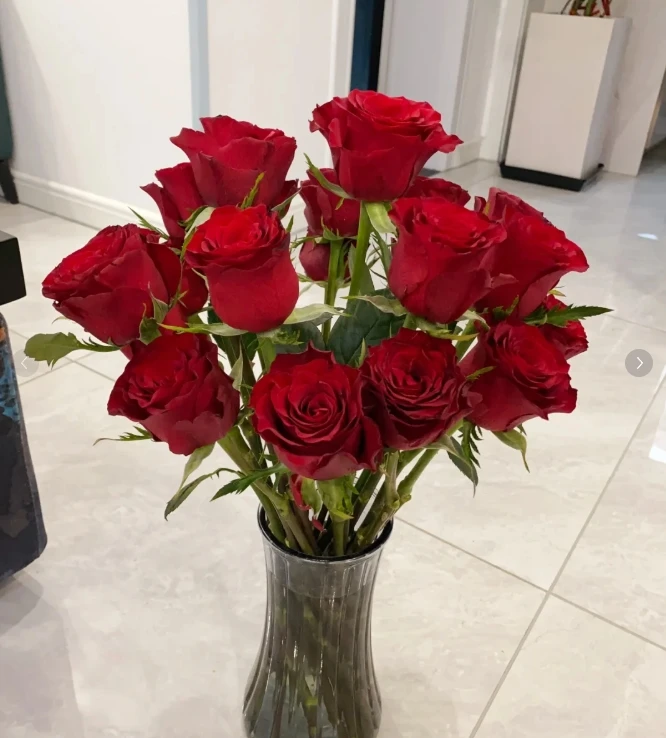 【新疆花之溪】高原红玫瑰