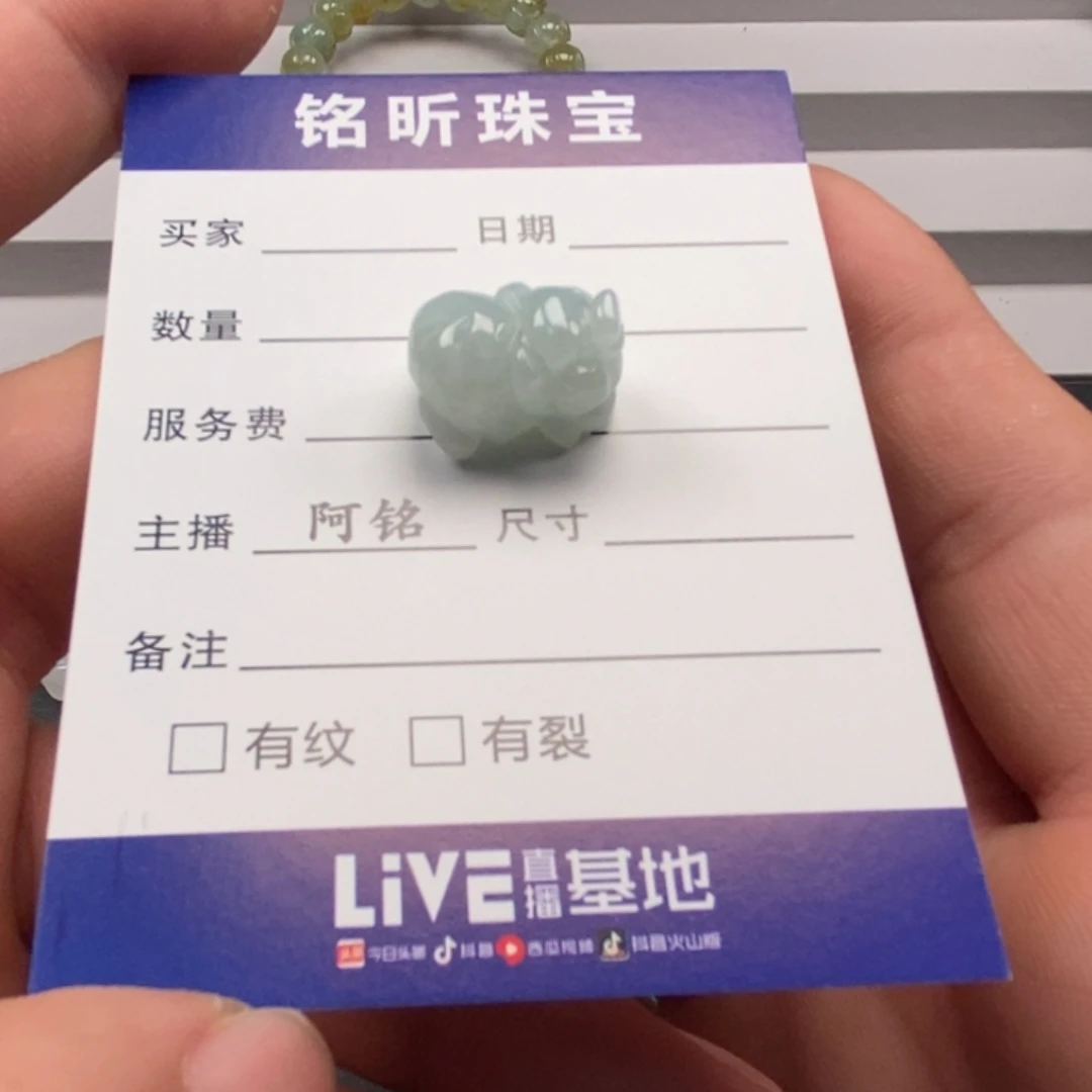 翡翠未镶嵌颈饰         5