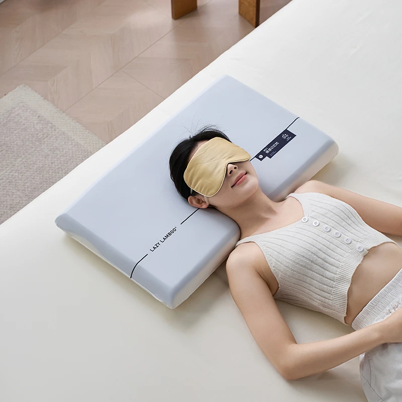 大莉莉【懒宝儿】亲肤记忆枕学生宿舍护颈枕透气枕芯