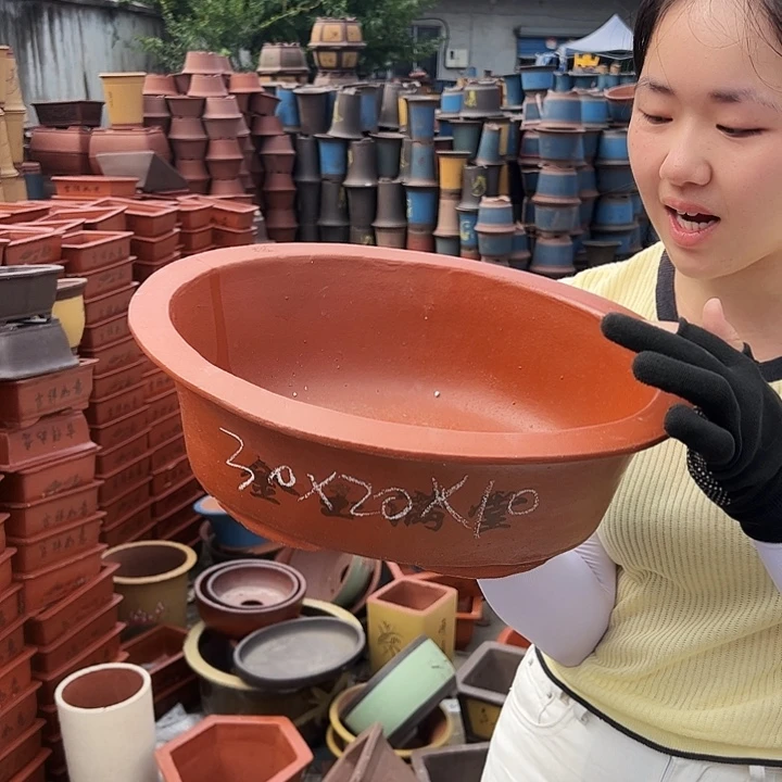 30红椭圆花盆花盆花盆花盆