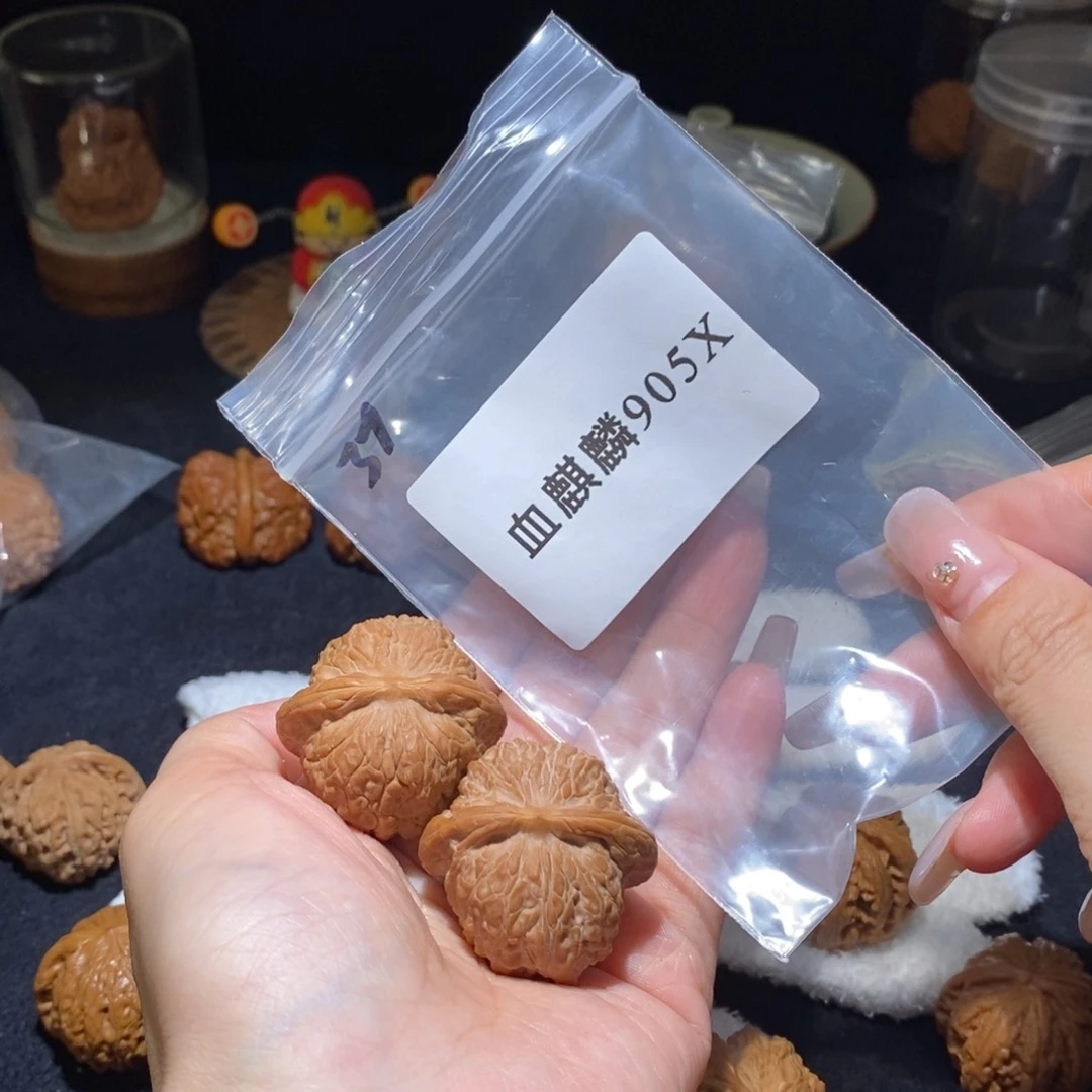 文玩核桃吊坠血麒麟37