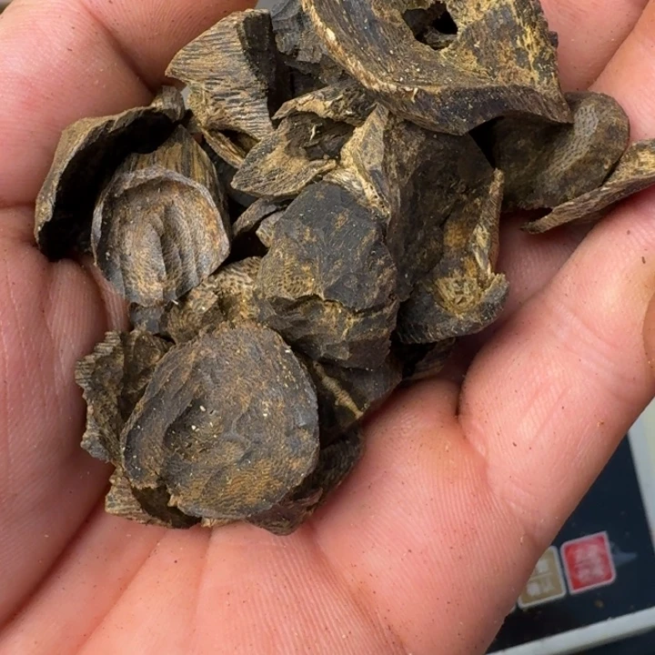 和***顺沉香碎屑沉香海南罗门黑奇树朾30克