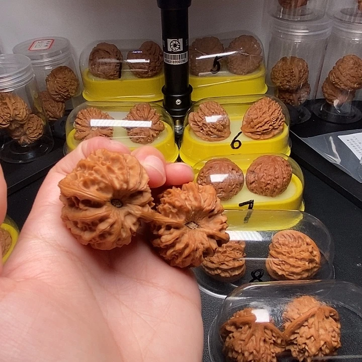 卓***丶39高尖龙门涧