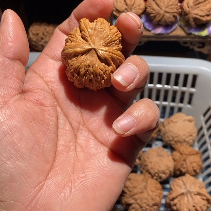 蛤***人核桃白狮子三棱尺寸40微黄