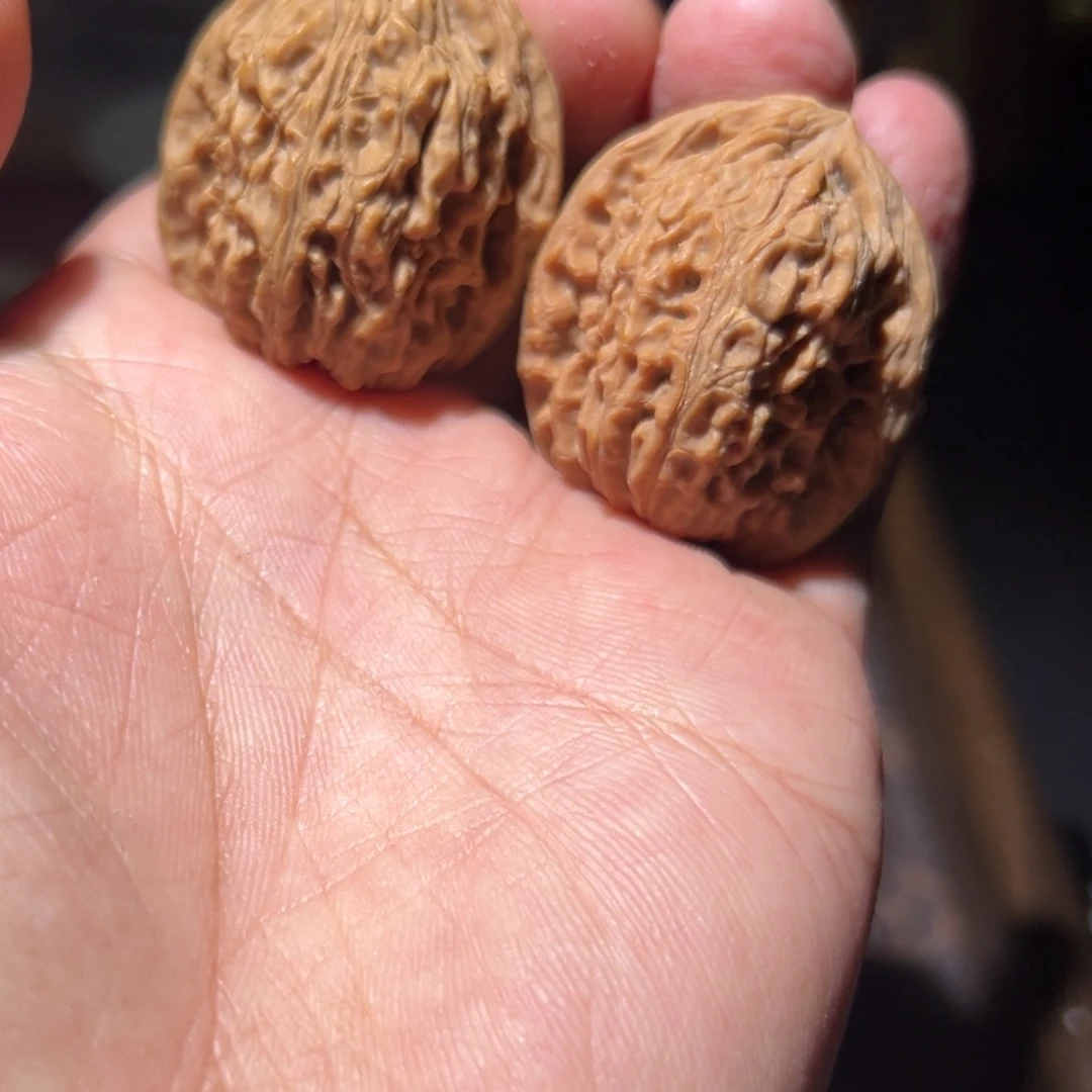 瑞麟文玩核桃南疆