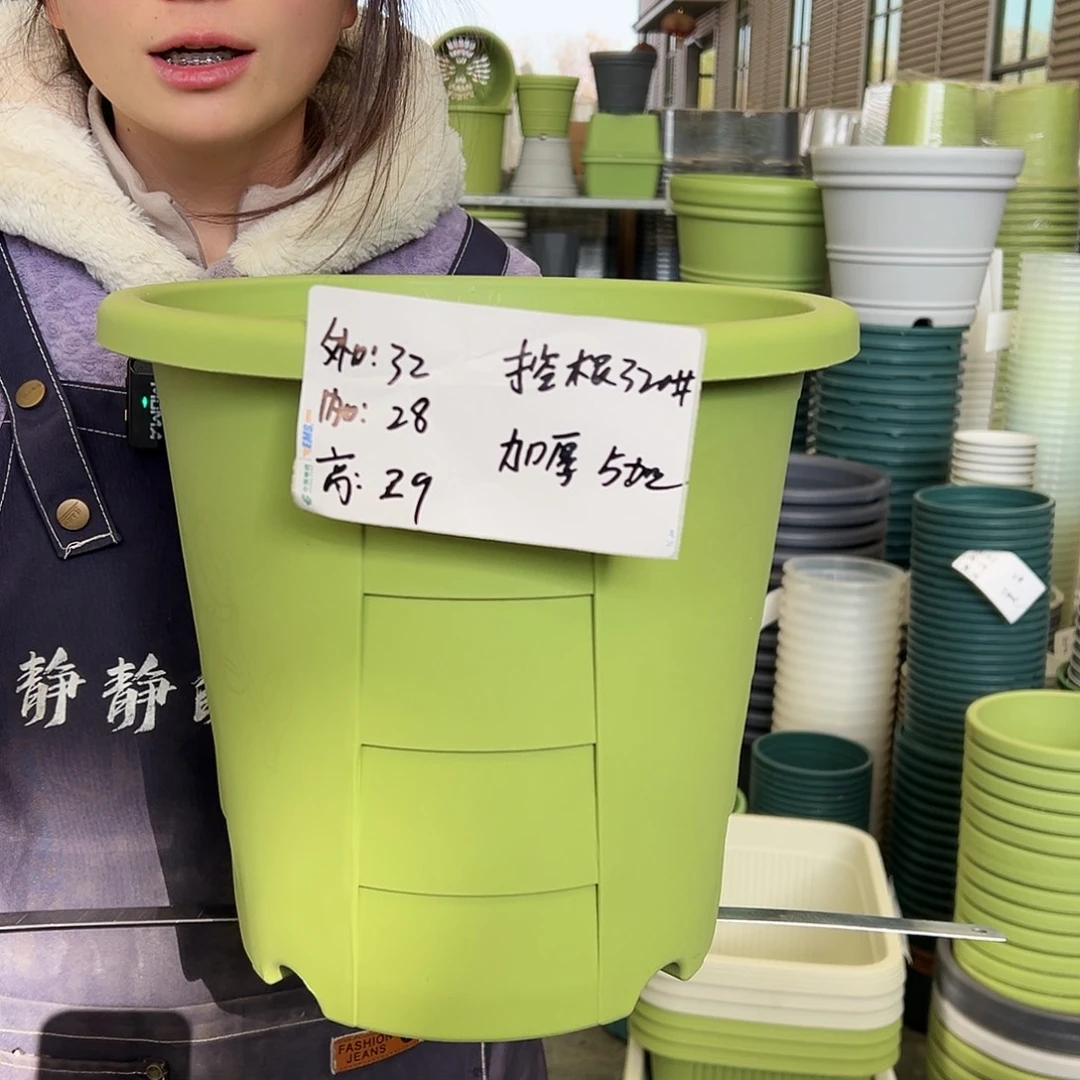 玫瑰盆320#果绿5个无托
