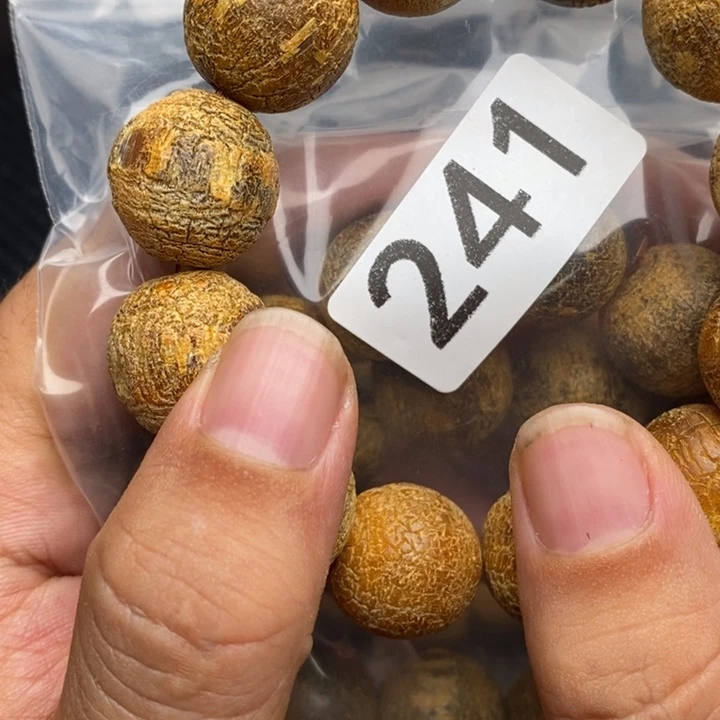 大果紫檀（缅甸花梨）