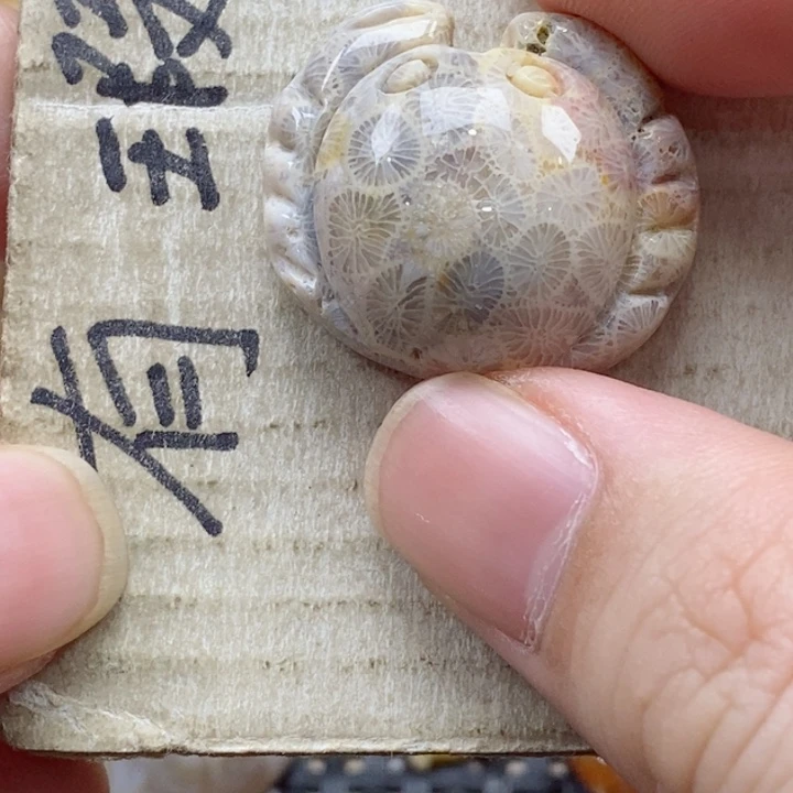 硅化珊瑚（珊瑚玉）颈饰未镶嵌某*某