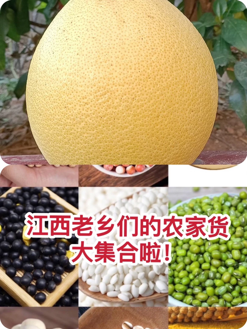 【直播间一物拍一物】江西老乡们自己种植特产集合鄱阳土特产豆