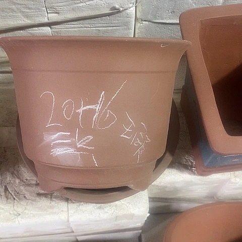 紫砂中国宜兴紫砂花盆，