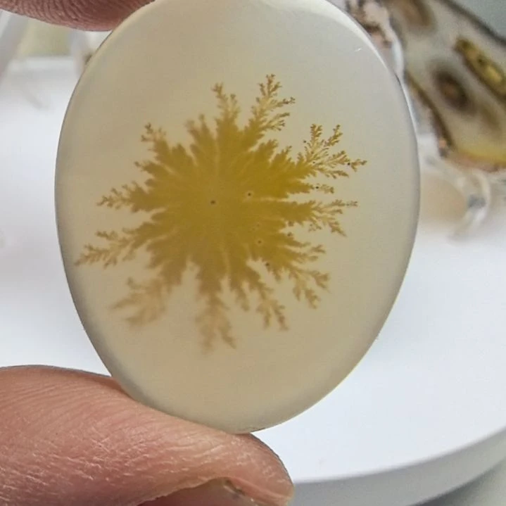 非金属时尚饰品04