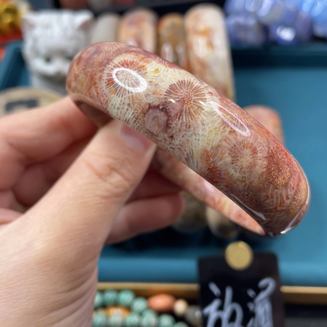 未镶嵌手镯硅化玉