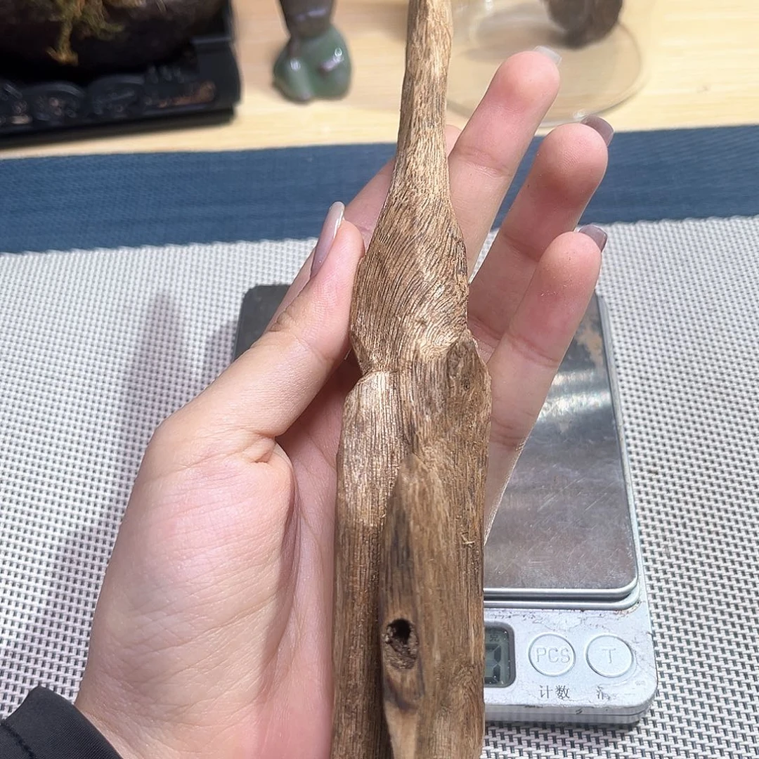 香榧木越南种植奇楠16克重福利