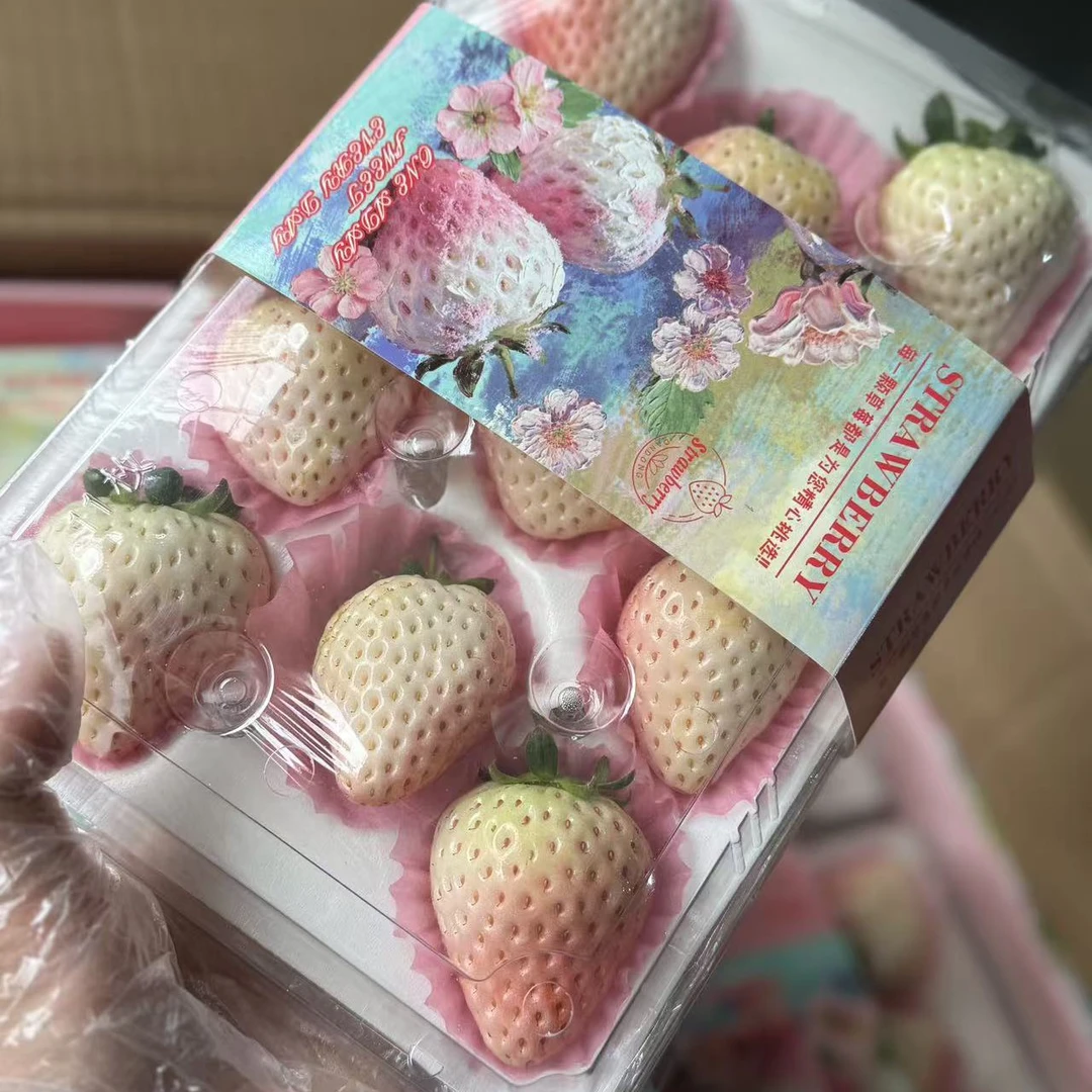 白雪公主草莓1盒