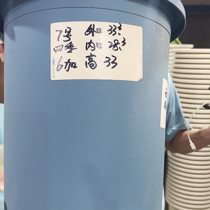 特价7号口33高33白色6只无托