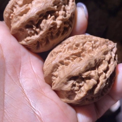 文玩核桃把件东北野生楸子小美82