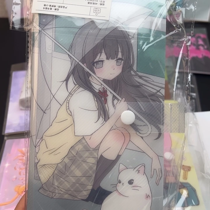 PVC打底纸收纳册