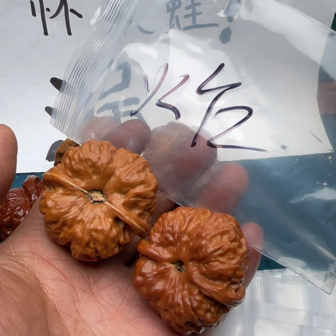 核桃974479947794479497957975