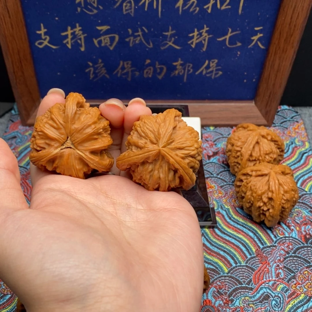 【闪购商品】春****白狮