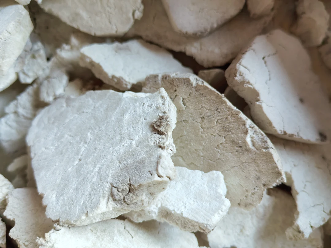 土特产≈[≈茯苓≈]