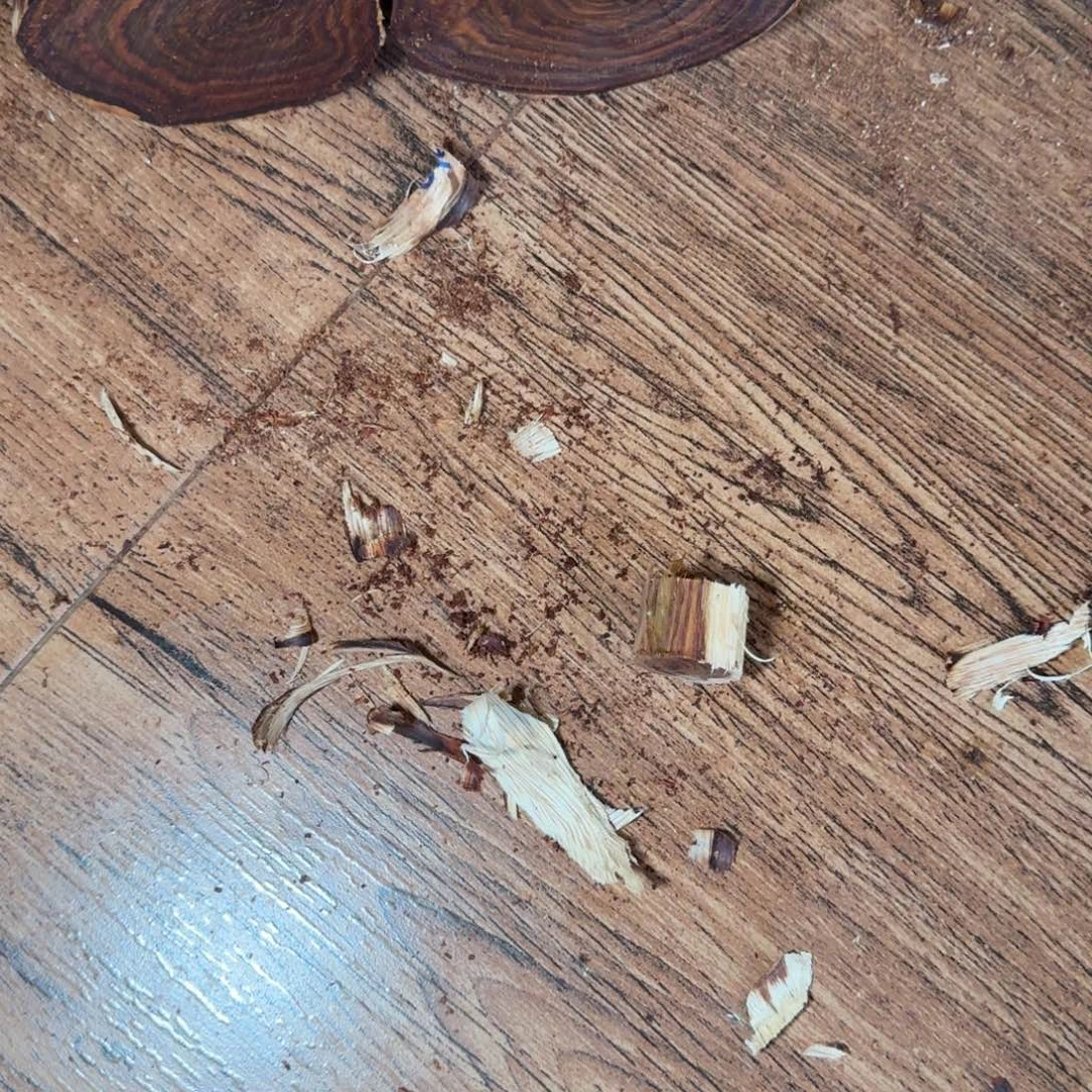 王***1海南，海北飞灰尘。甘受商于仪诳楚，岂真鹑首天赐秦