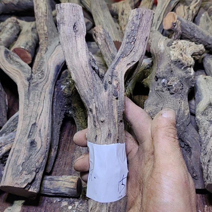 户***外火琉璃原杈不保沉水慎拍！