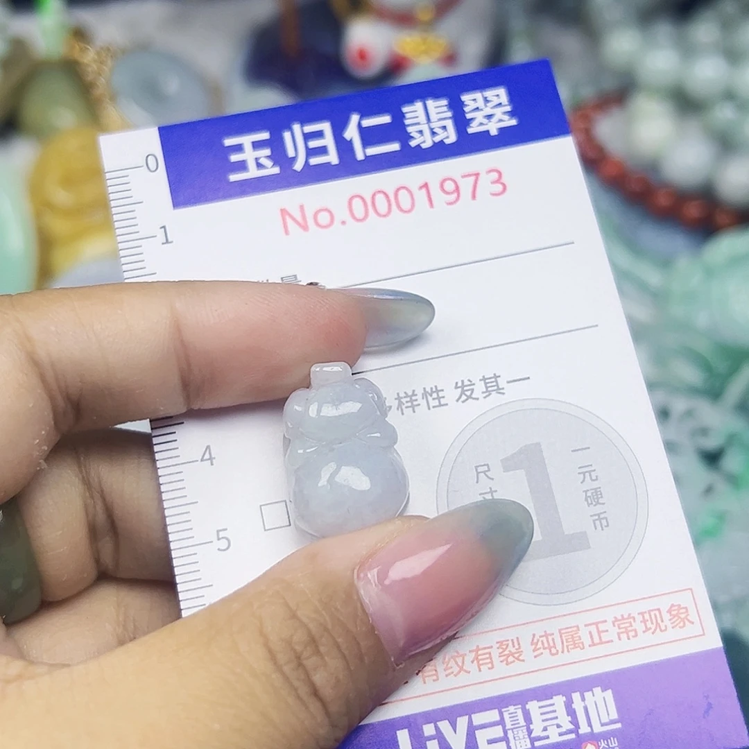 翡翠未镶嵌颈饰Wqq