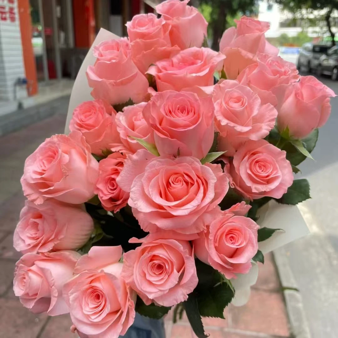 氧花季 戴安娜玫瑰18支+2支防损 收到先醒花 拍1单发中通